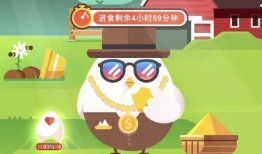 托尔吃瓜爆料小课堂QQ,揭秘网络爆料的秘密世界